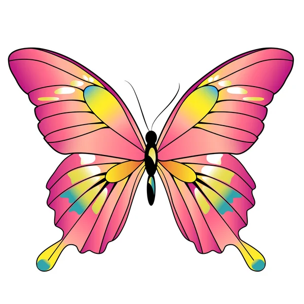 Diseño de mariposas — Foto de Stock