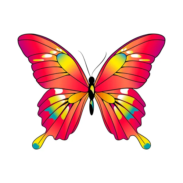 Pillangók design — Stock Fotó