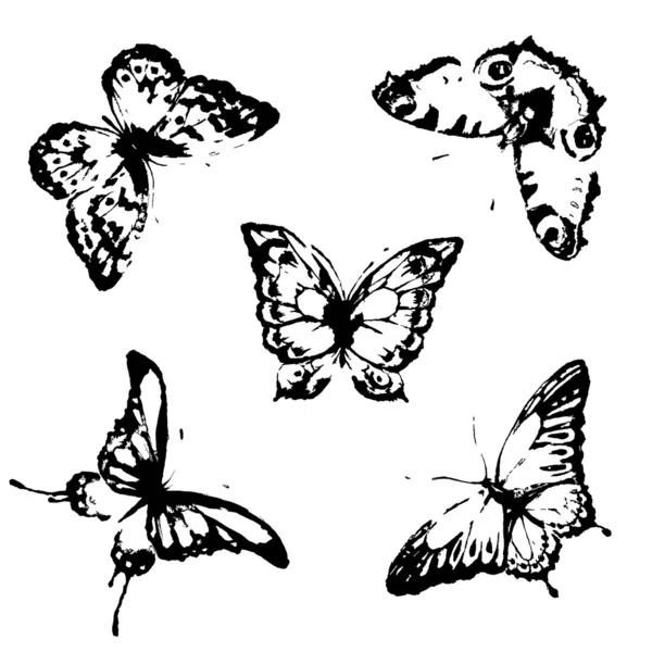 Diseño de mariposas — Archivo Imágenes Vectoriales