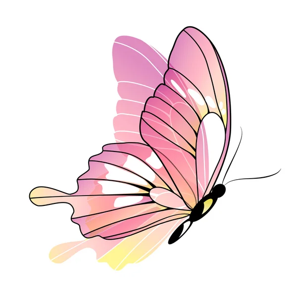 Diseño de mariposas — Vector de stock