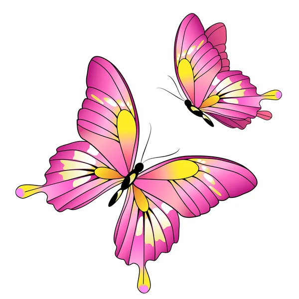 Conception papillons — Image vectorielle