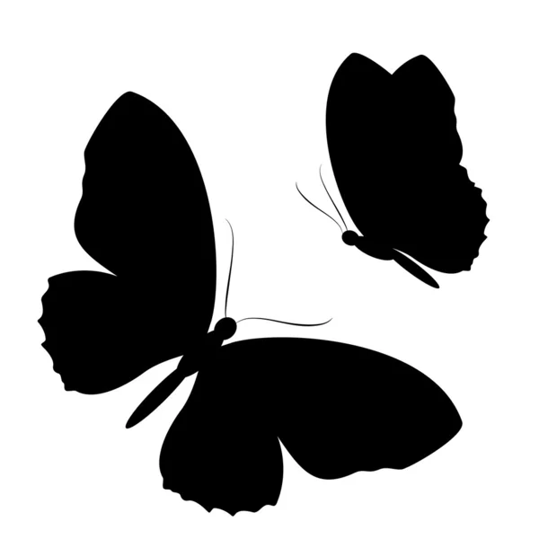 Diseño de mariposas — Vector de stock