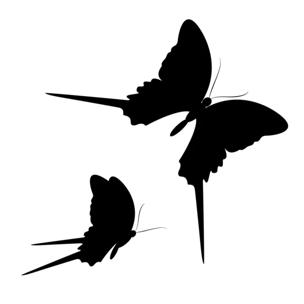 Diseño de mariposas — Vector de stock