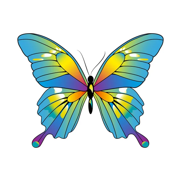 Diseño de mariposas — Archivo Imágenes Vectoriales