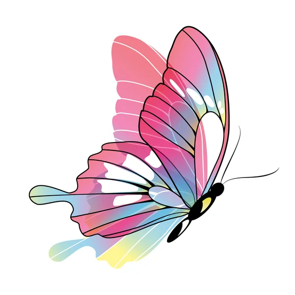 Diseño de mariposas — Vector de stock