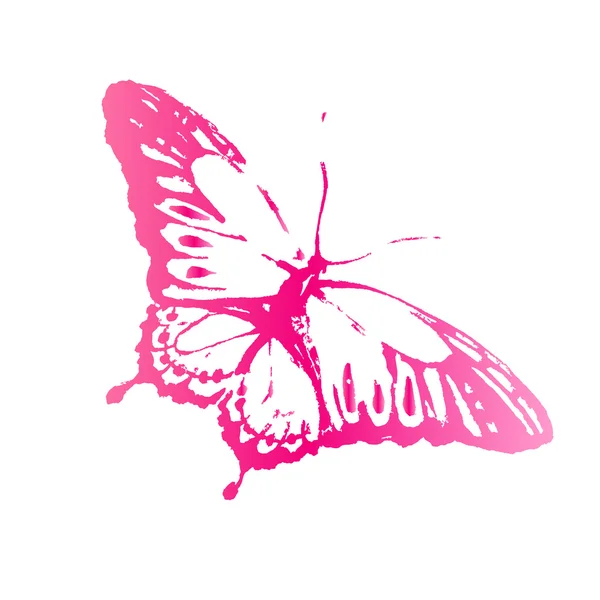 Diseño de mariposas — Vector de stock