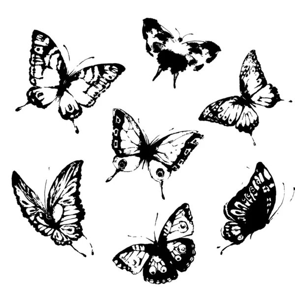 Diseño de mariposas — Vector de stock