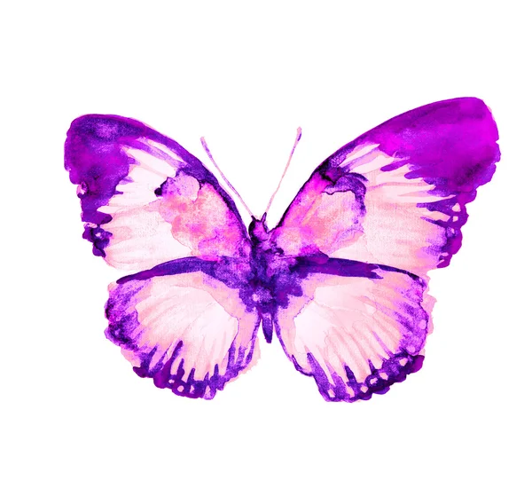 蝴蝶设计 — 图库照片