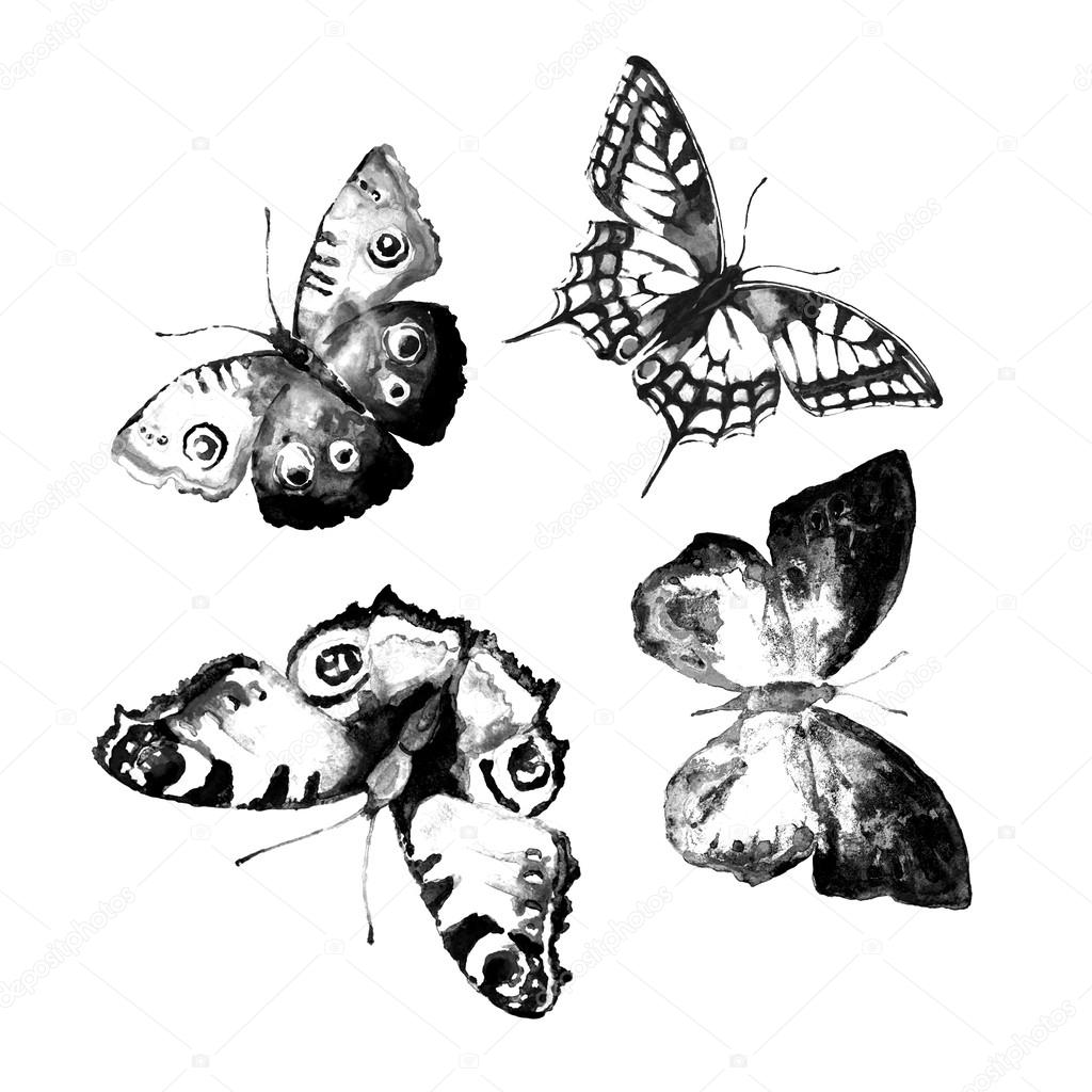 butterflies design