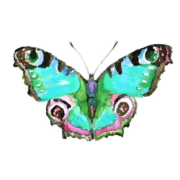 Motýli design — Stock fotografie