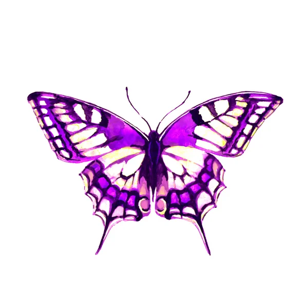 Diseño de mariposas — Foto de Stock