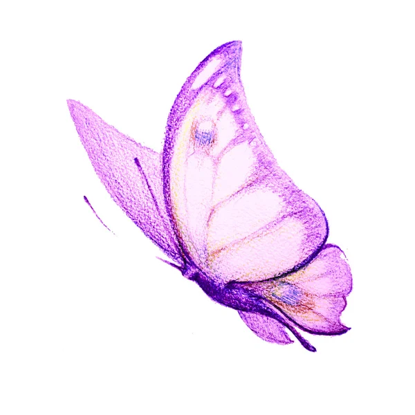 Butterflies design — Stock Photo, Image