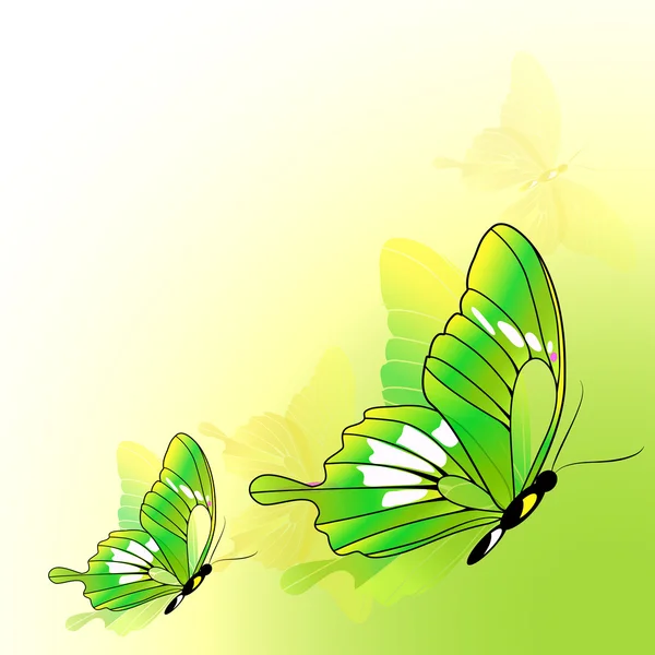 Diseño de mariposas — Vector de stock