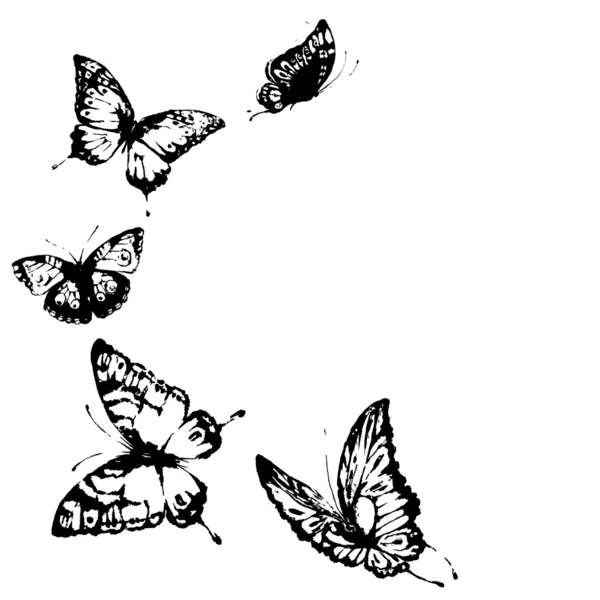 Diseño de mariposas — Archivo Imágenes Vectoriales