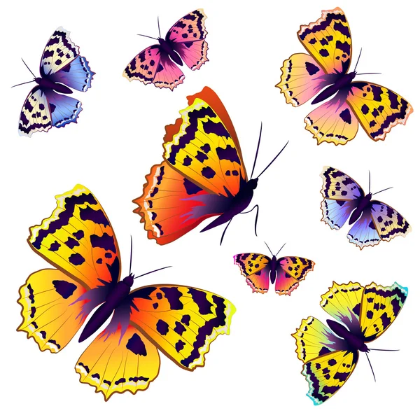 Метелики дизайн — стоковий вектор