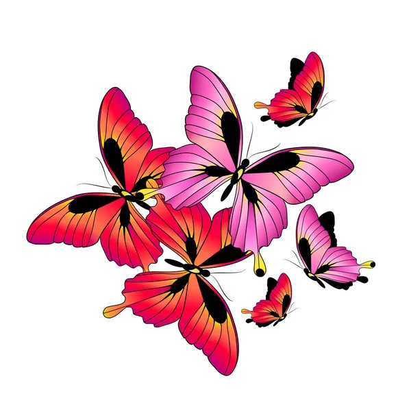 나비 디자인 — 스톡 벡터
