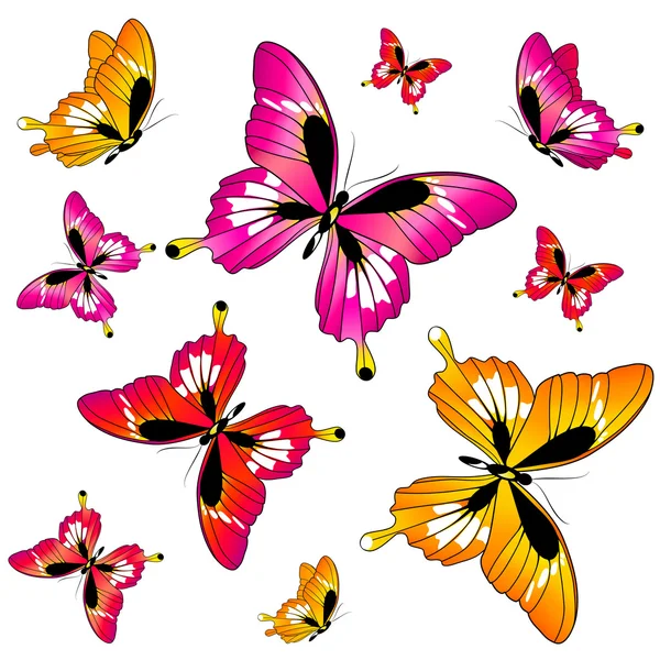 Vlinders ontwerp — Stockvector
