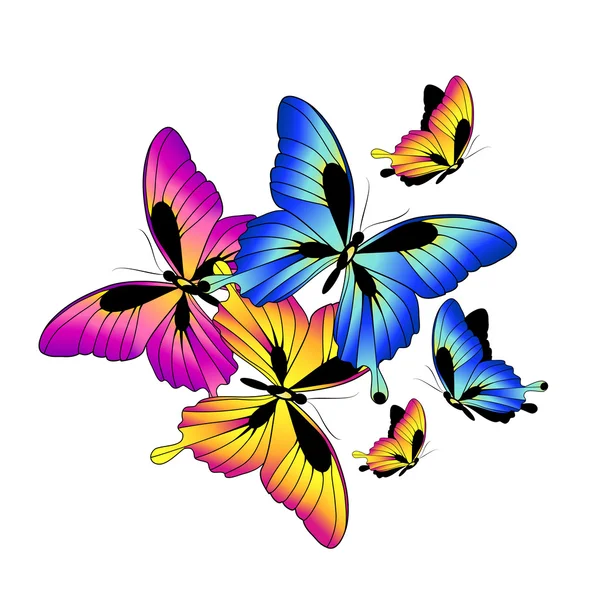 Butterflies design — Stock Vector