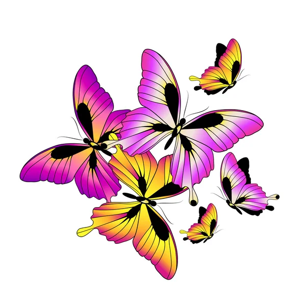 Дизайн бабочек — стоковый вектор