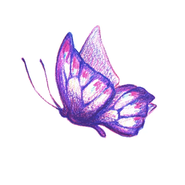 Diseño de mariposas — Foto de Stock