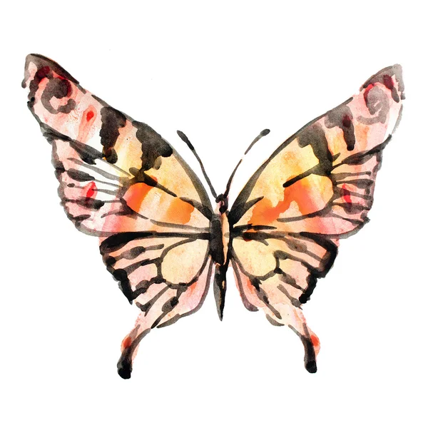 Fjärilar design — Stockfoto