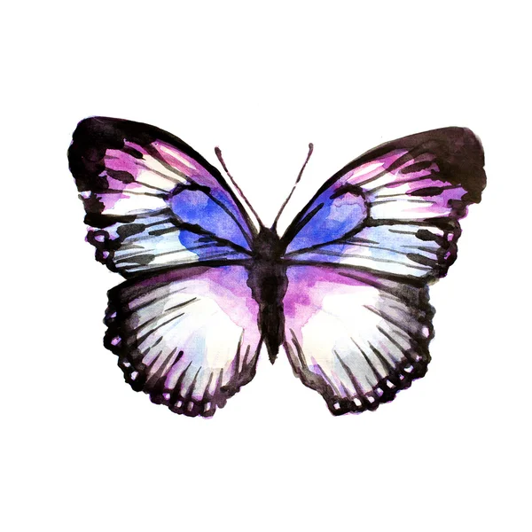Disegno delle farfalle — Foto Stock
