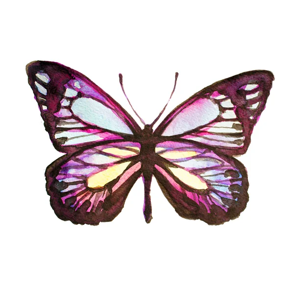 Projekt motyle — Zdjęcie stockowe