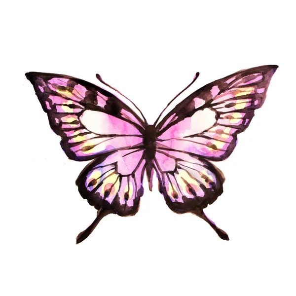 Butterflies design — Stock Photo, Image