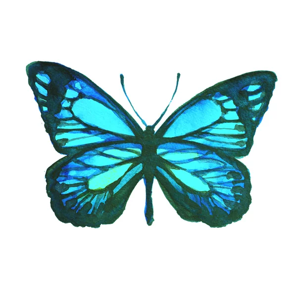 Butterflies design — Stock Photo, Image