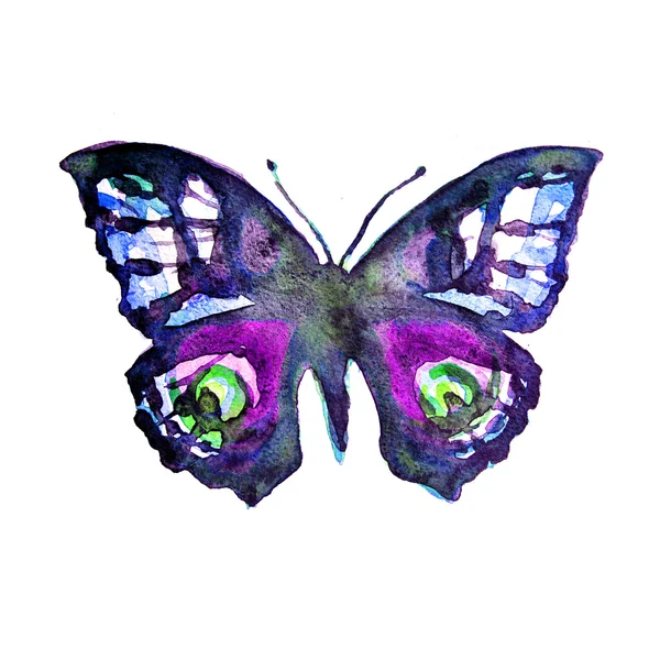 Diseño de mariposas — Foto de Stock