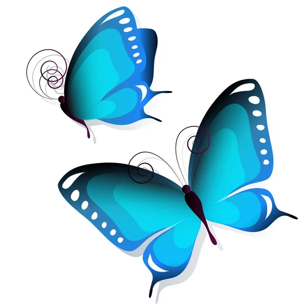 Butterflies design — Stock Vector