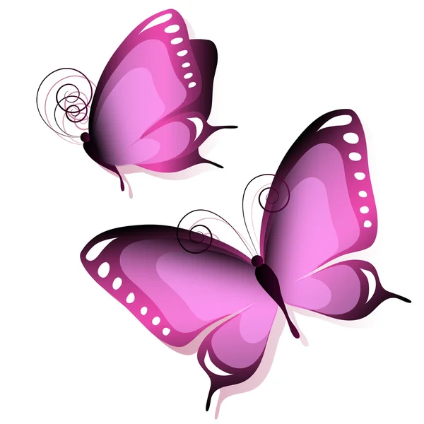 Diseño de mariposas — Vector de stock