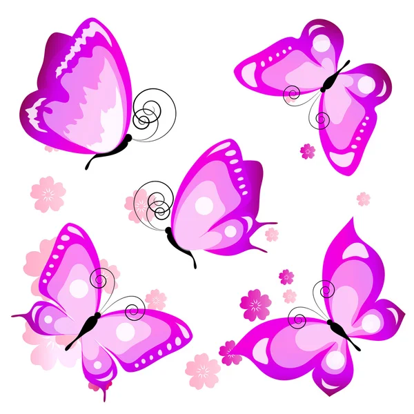 Diseño de mariposas — Vector de stock