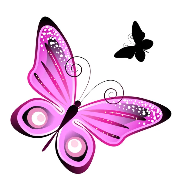 Diseño de mariposas — Vector de stock