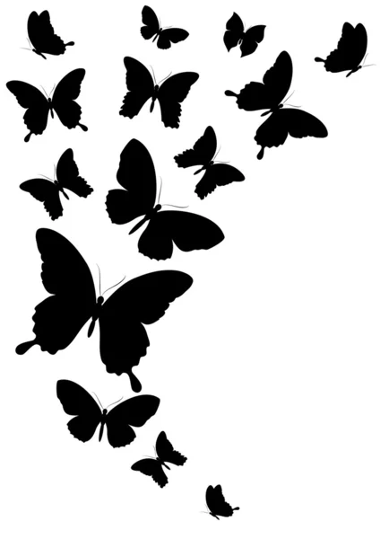 Diseño de mariposas — Vector de stock