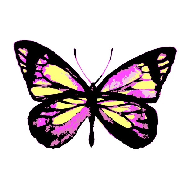 Дизайн бабочек — стоковый вектор