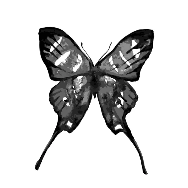 Diseño de mariposas — Archivo Imágenes Vectoriales