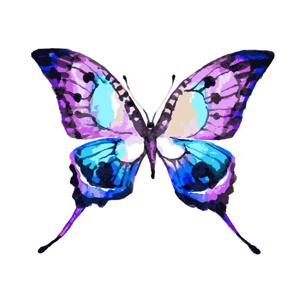 Butterflies design — Stock Photo, Image