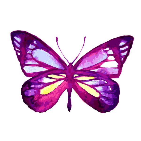 Butterflies design — Stock Photo, Image