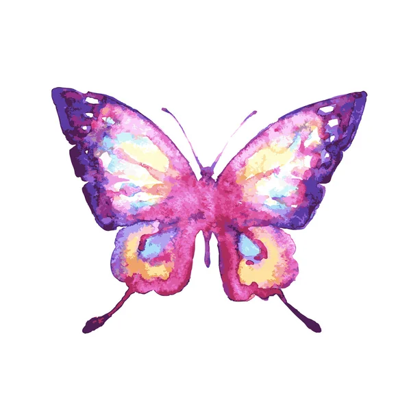 Diseño de mariposas — Vector de stock