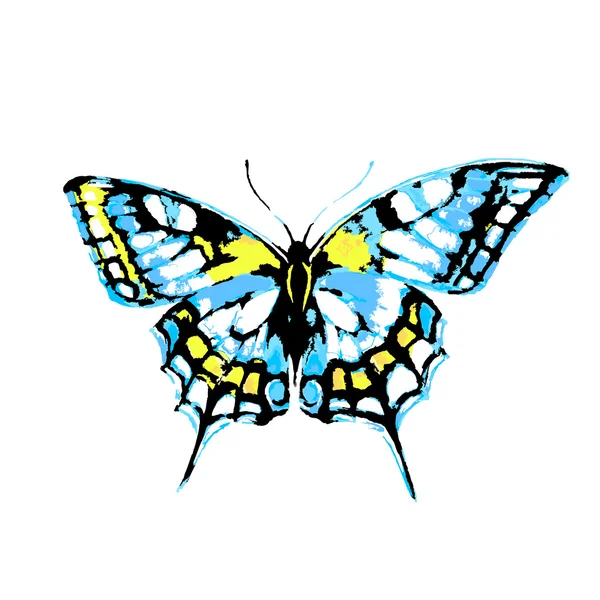 Butterfly174 — Wektor stockowy