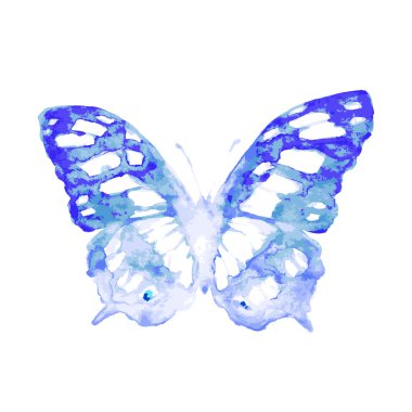 butterfly187