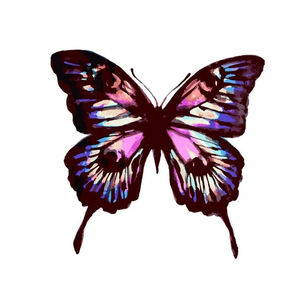 Motýli design — Stockový vektor