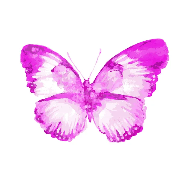 Σχεδιασμός πεταλούδες — Διανυσματικό Αρχείο