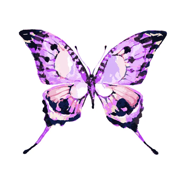 Schmetterlingsdesign — Stockvektor