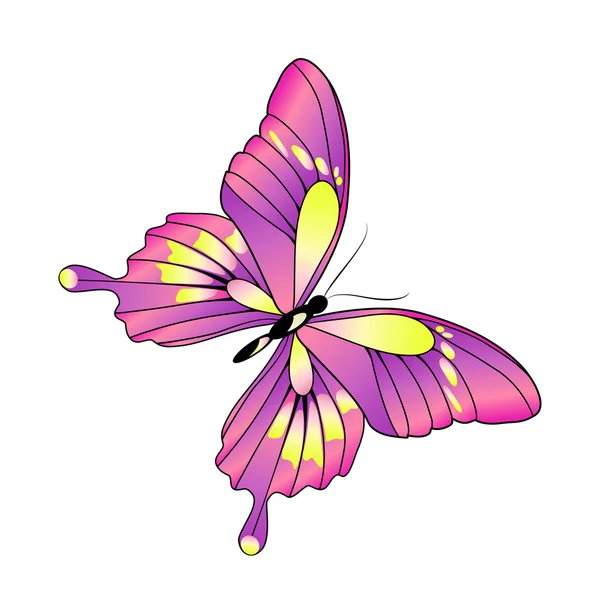 Conception papillons — Image vectorielle