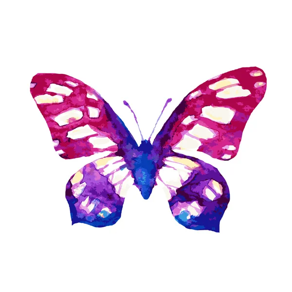 Diseño de mariposas — Vector de stock