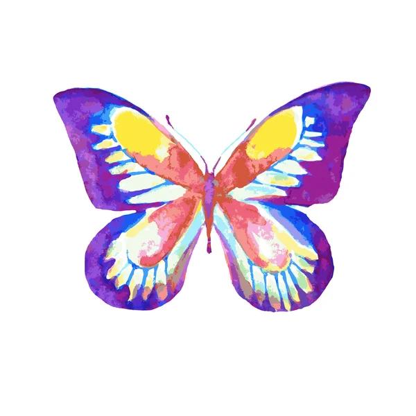 Schmetterlingsdesign — Stockvektor