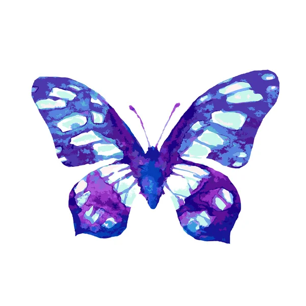 Butterflies design — Stock Vector