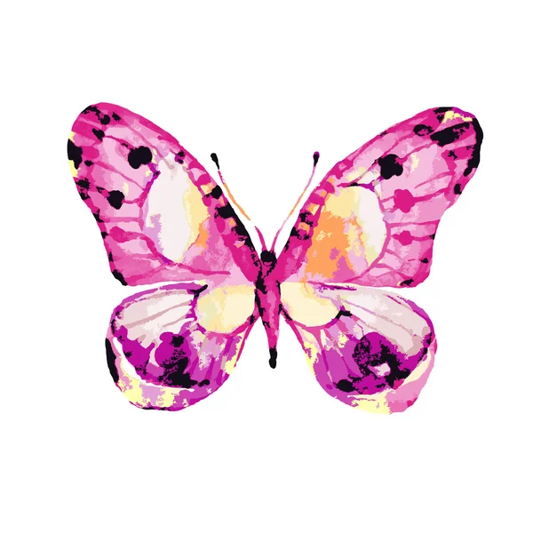 Diseño de mariposas — Vector de stock